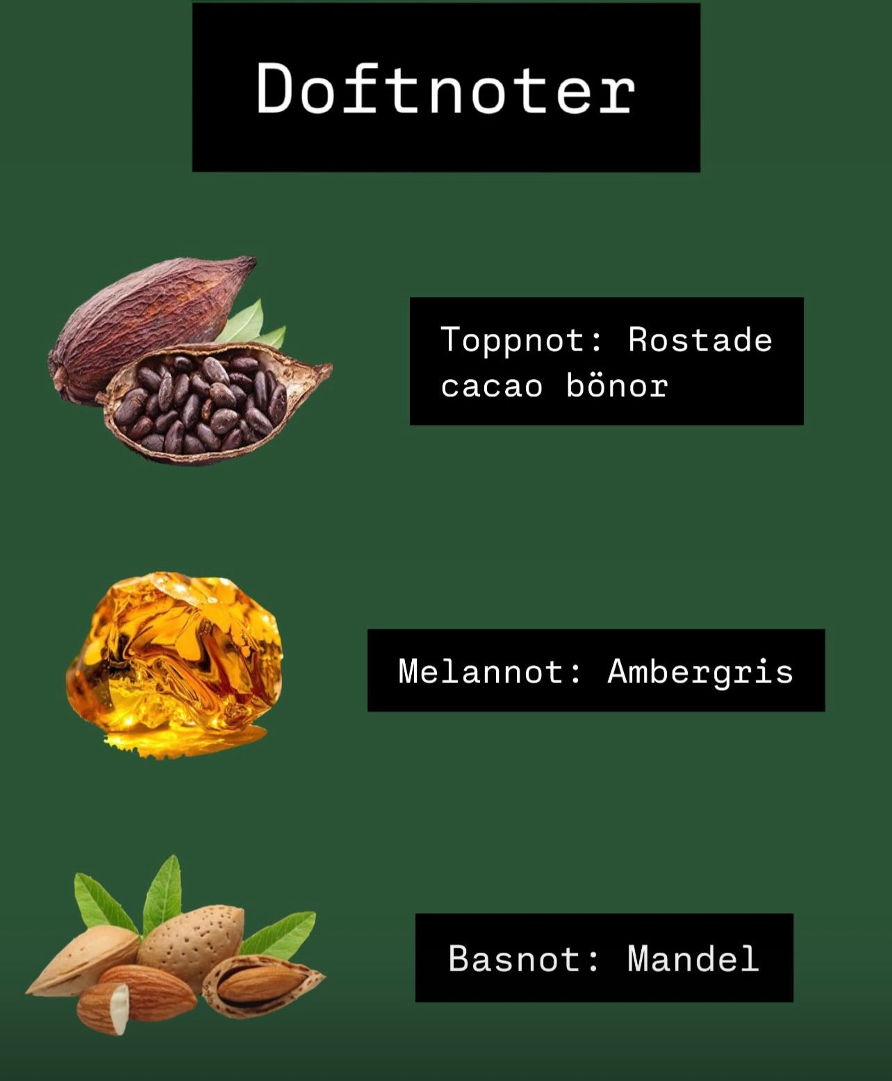 Aroma-C Signature  -  Cacao Noir (Läs mer)